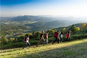 Randonner à l’automne dans les Vosges