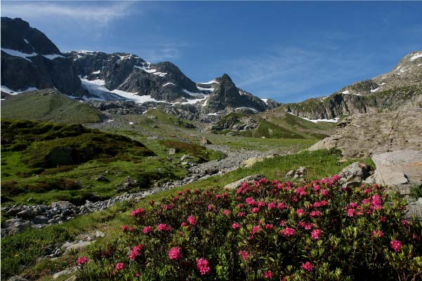 Réserve naturelle du Vallon Bérard